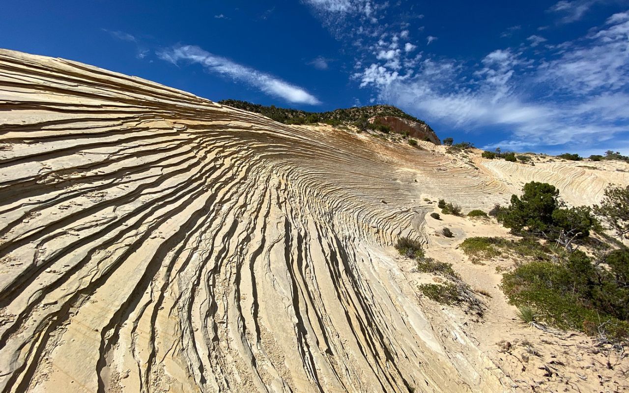 ROAM Outdoor Adventure Co | Photo Gallery | 3 - White Wave ATV Tour Take a fun ATV ride over to The White Wave, a vast petrified sand dune where you can discover ancient petroglyphs.