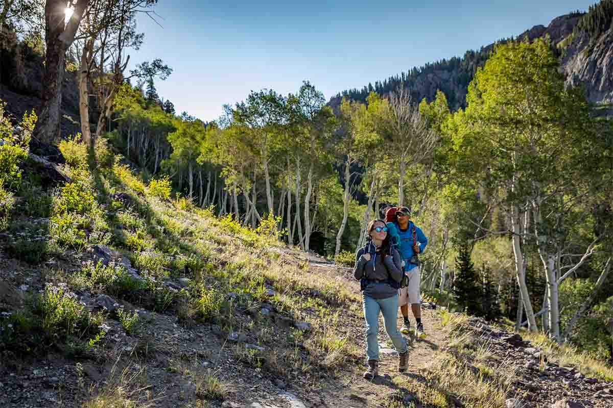 Beaver County Mineral & Tushar Mountains