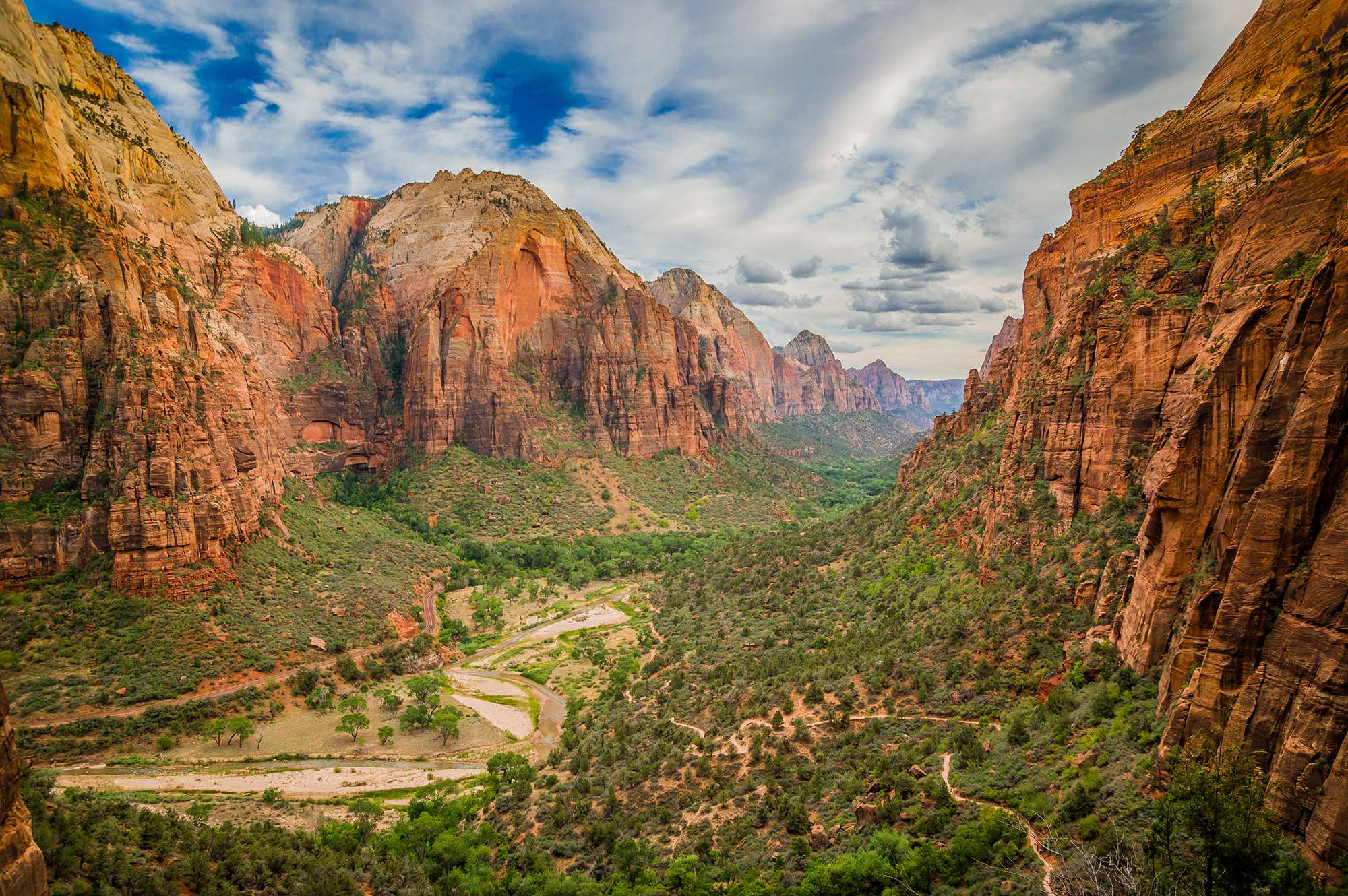 Zion National Park - Look up!