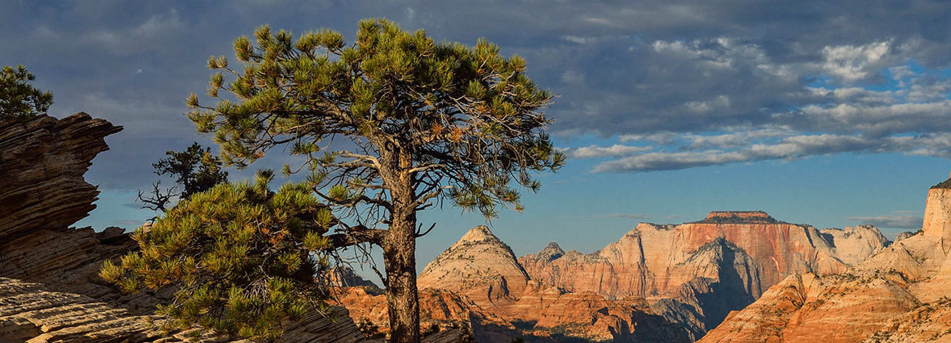 Zion National Park Guide Utah