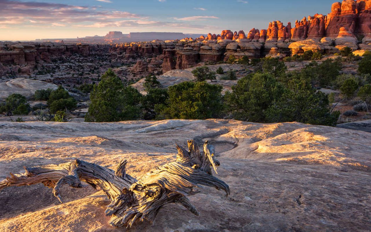Lower Red Lake Canyon | Photo Gallery | 1 - Canyonlands Travel Guide