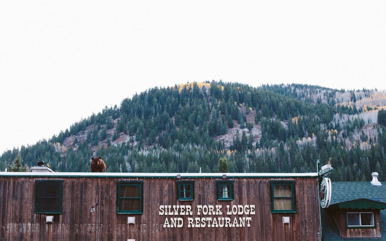 Silver Fork Lodge Restaurant | Photo Gallery | 5 - Silver Fork Lodge & Restaurant