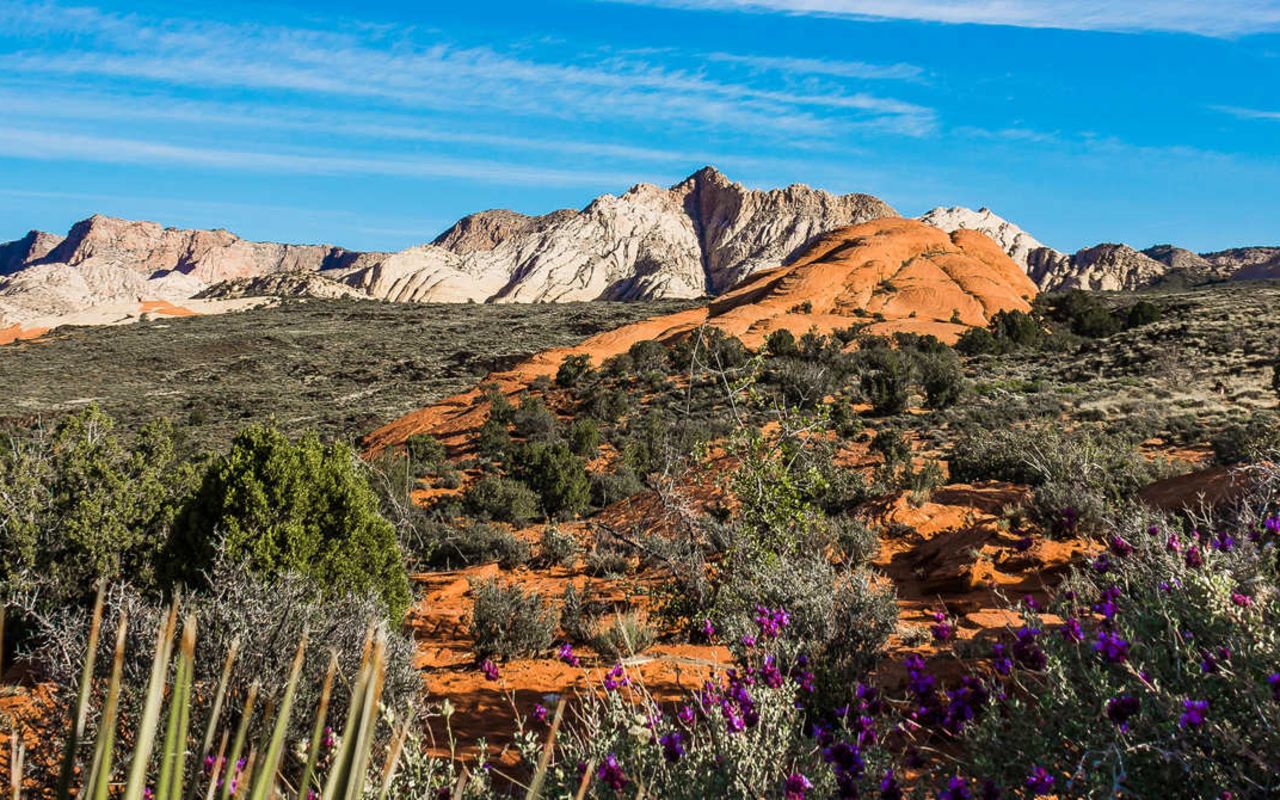 St. George (Greater Zion) | Photo Gallery | 12 - Deseret Landscape by Snow Canyon