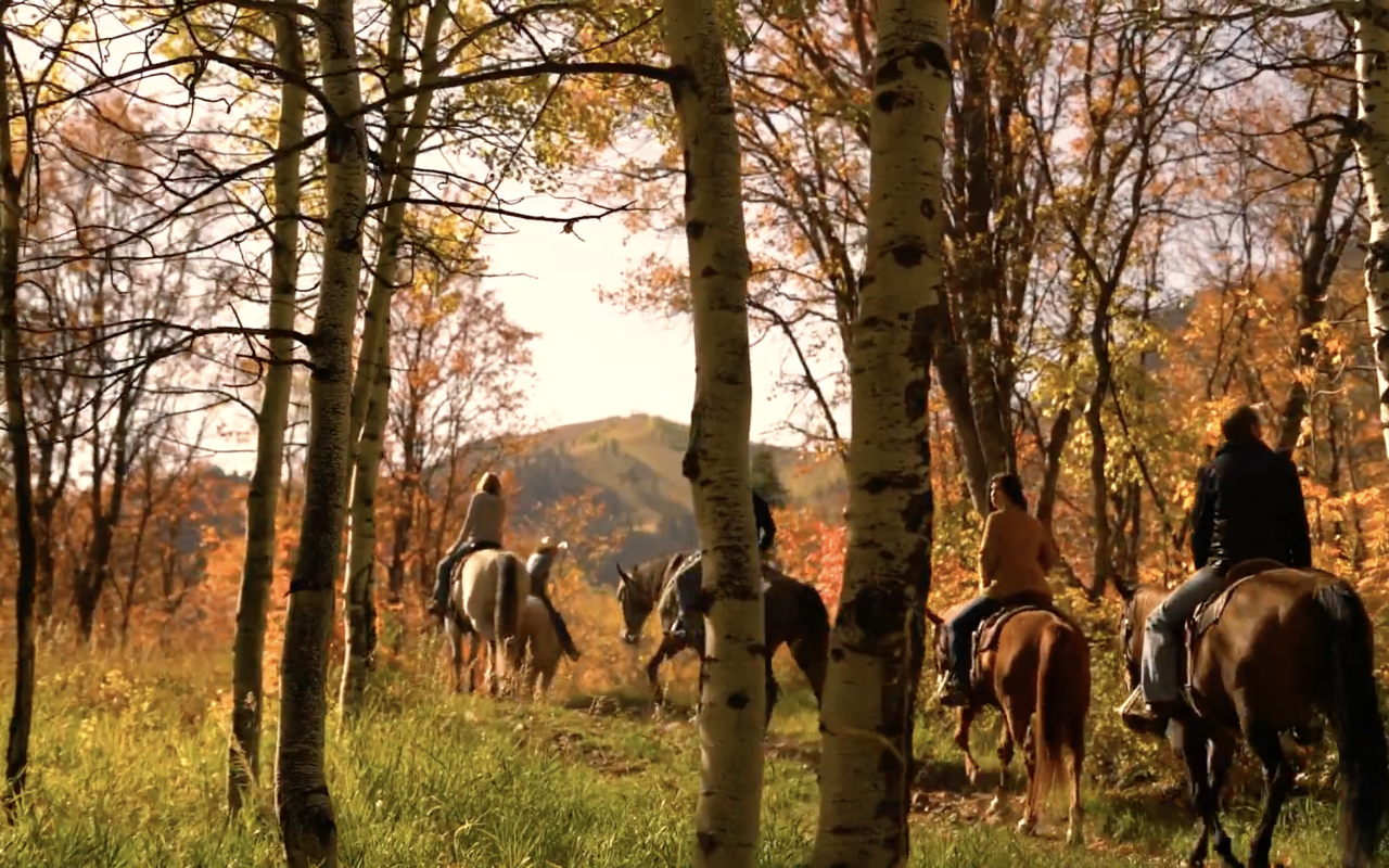 Sundance Stables | Photo Gallery | 1 - Enjoy amazing scenery on a horseback ride with Sundance Stables. 