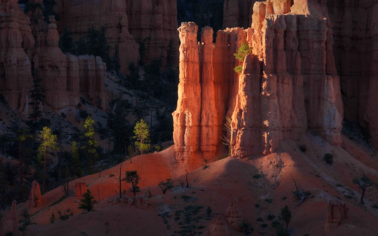 Capitol Reef Photography Tours | Photo Gallery | 0 - Bryce Canyon Hoodoos