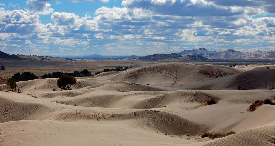 Little Sahara Sand Dunes | Photo Gallery | 1 - In Little Sahara Recreation Area, you will find free-moving sand dunes, including the 700-foot-tall Sand Mountain — shaped by southwesterly winds after Lake Bonneville receded.
