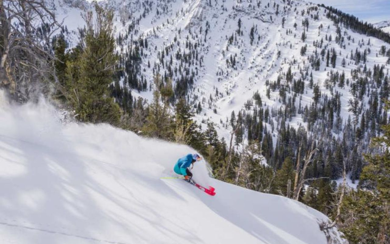 Solitude Mountain Resort | Photo Gallery | 0 - Solitude Mountain Resort