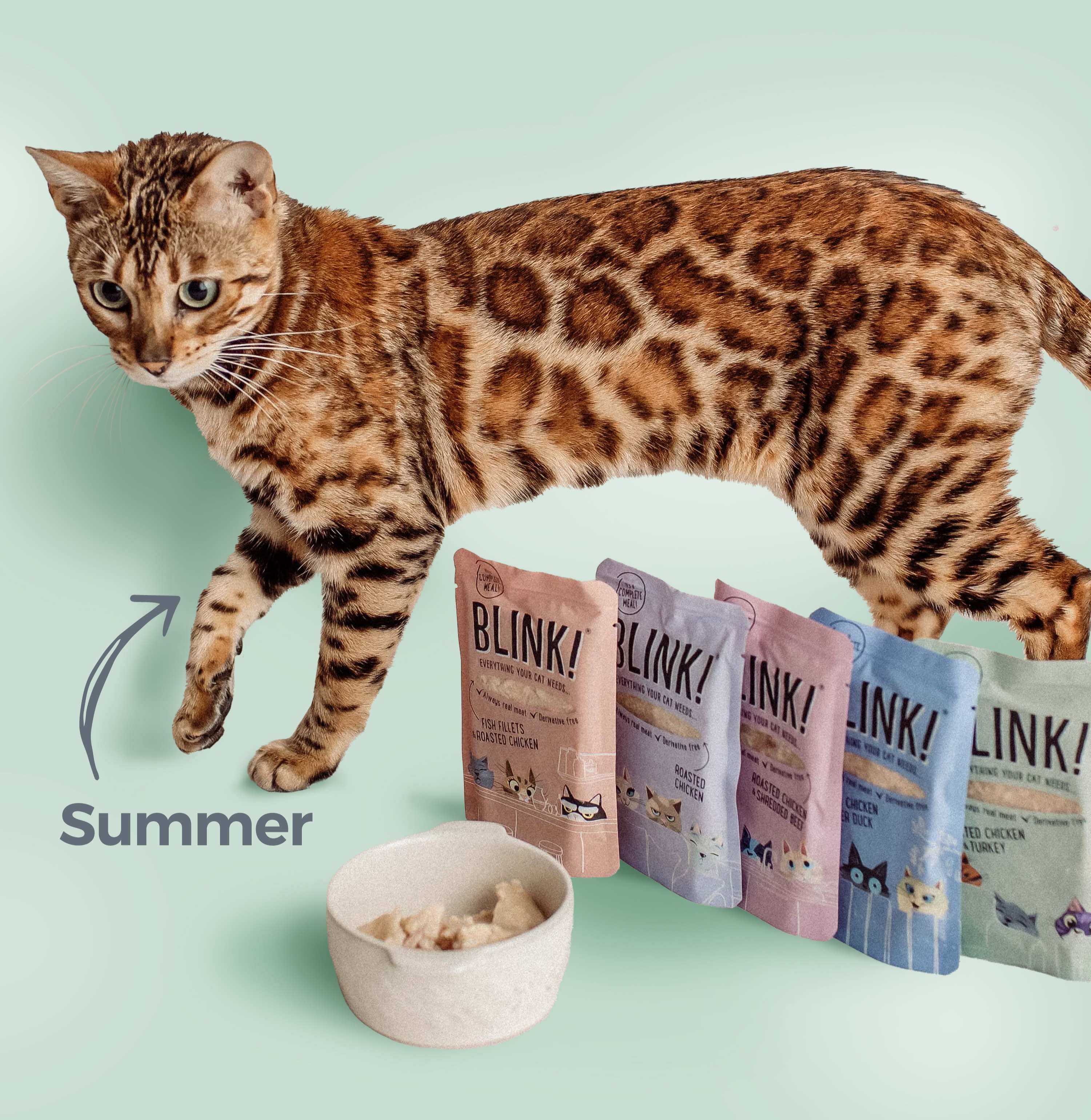 Leopard print cat with Blink food