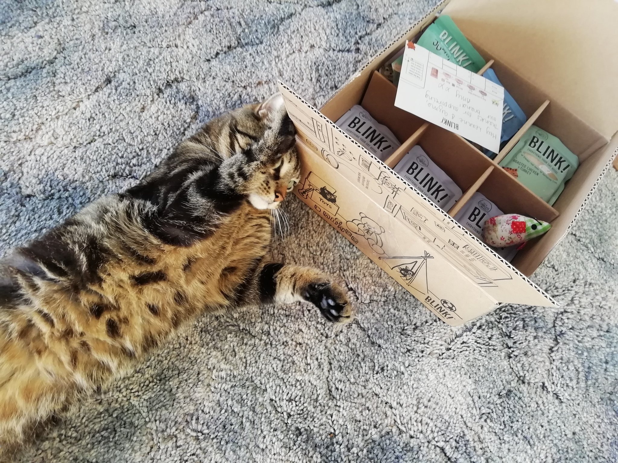 Cat food clearance box