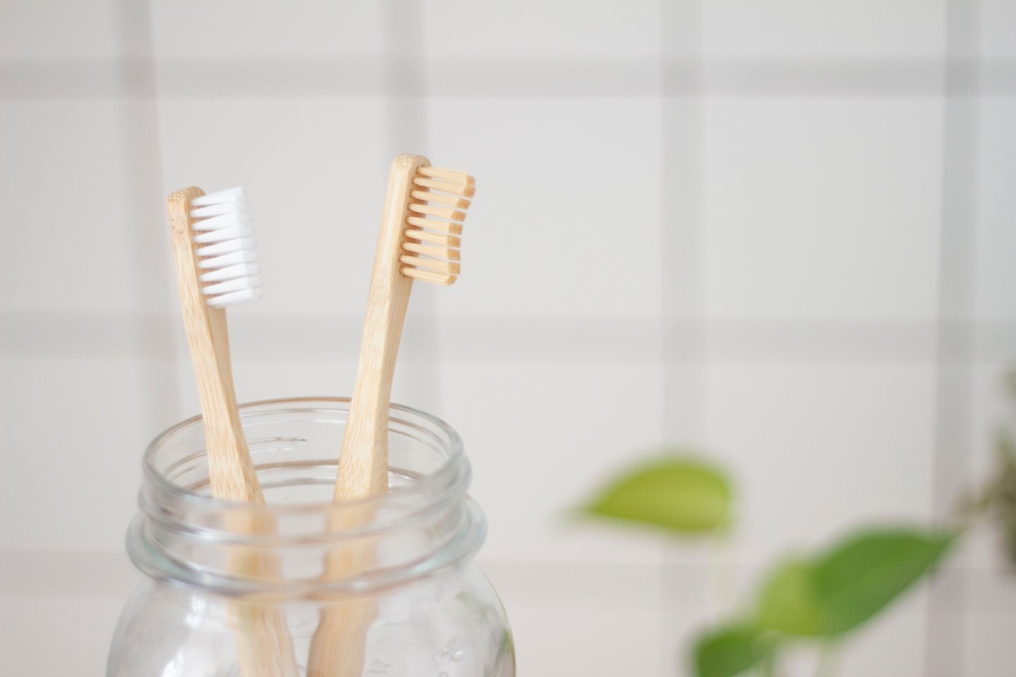 Two toothbrushes with wooden handles in a glass jar