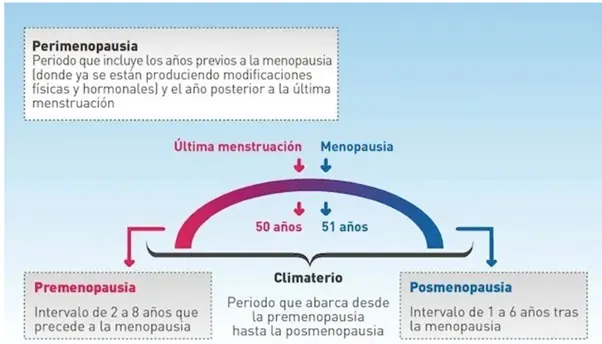 ¿Qué es la menopausia?