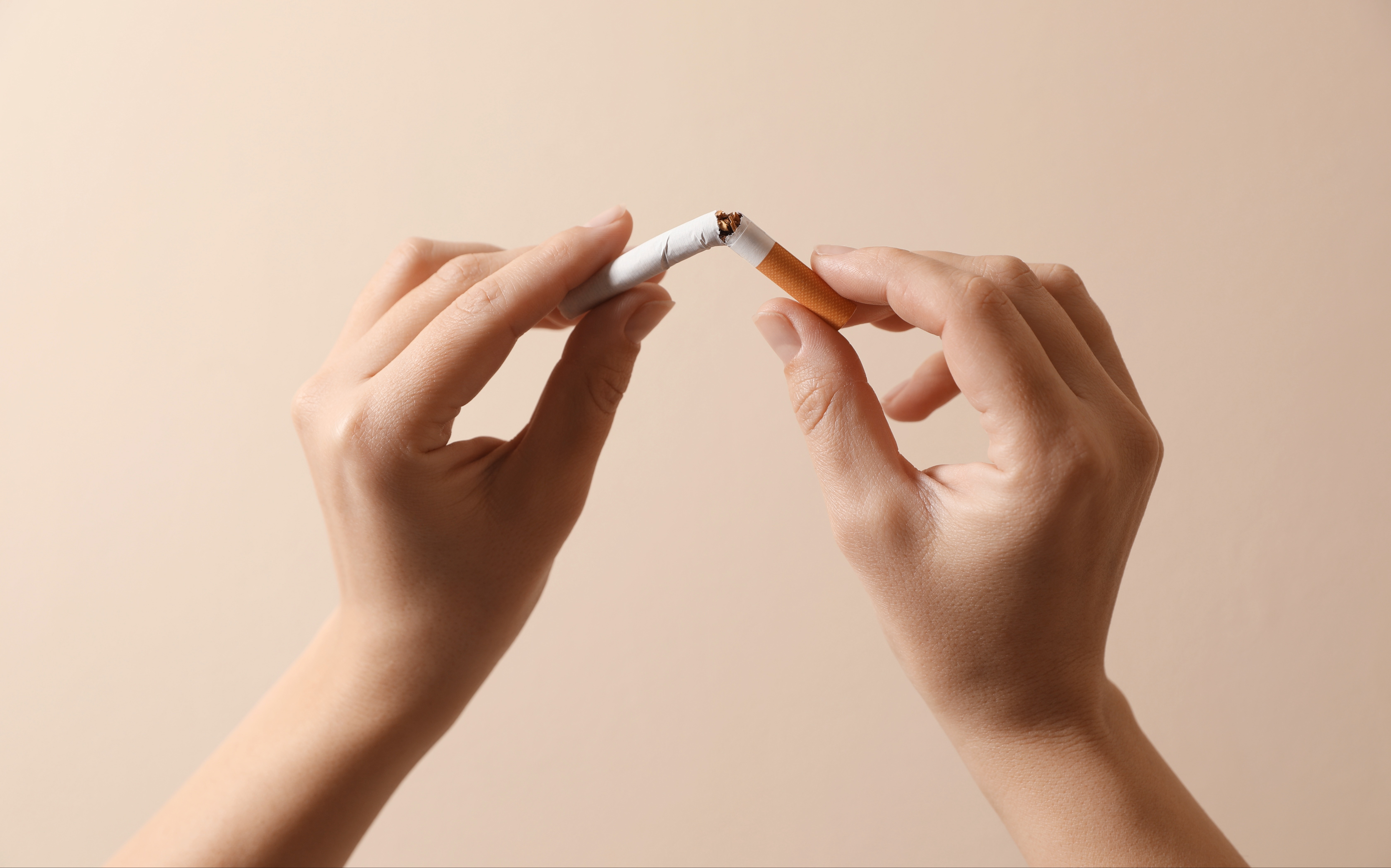 does cigarette ash help plants grow Cigarette Ash for Houseplants: Good or Bad? #howtotakecareplants