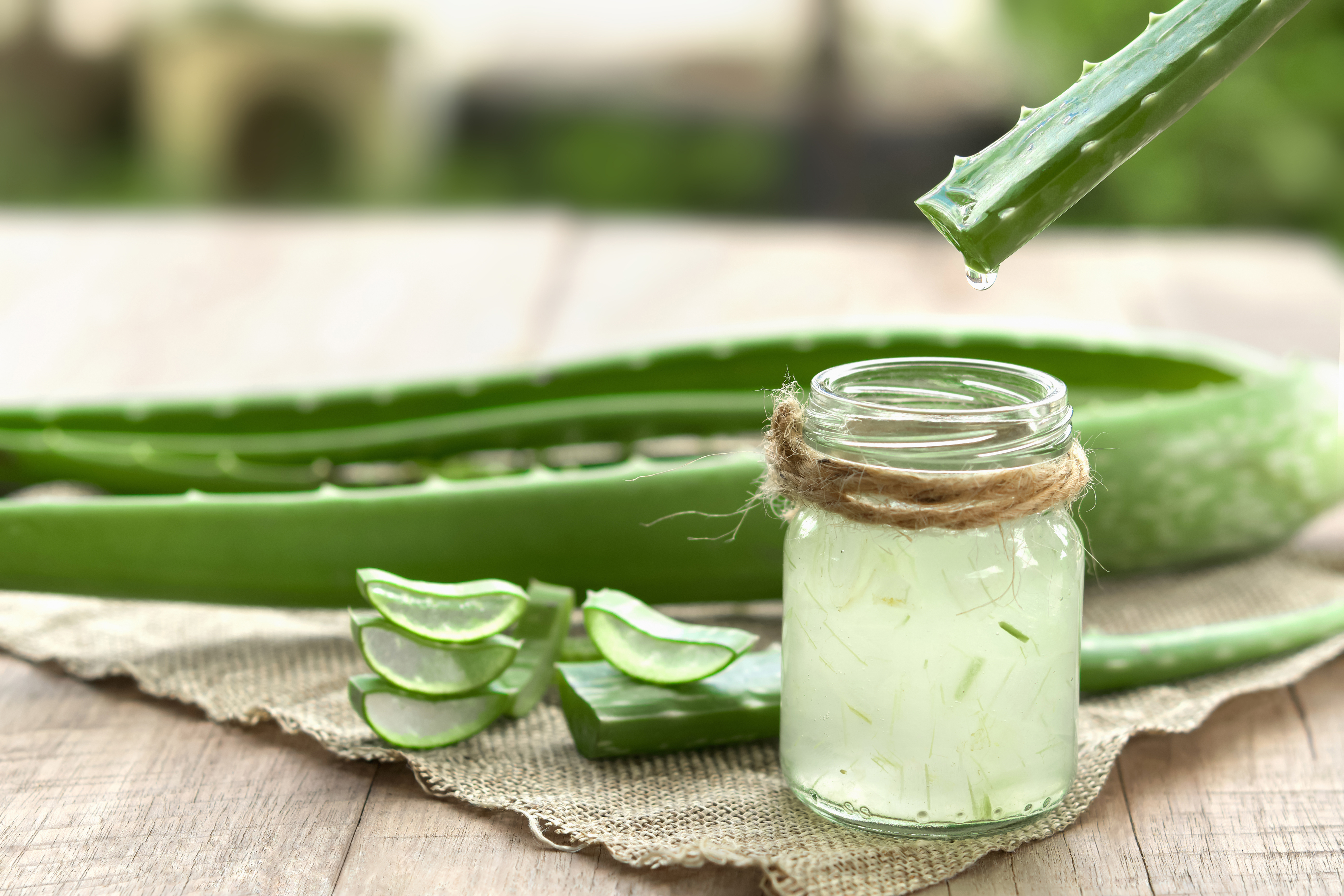 Aloe vera sur les cheveux sans rinage : quels effets ? - Aroma-Zone