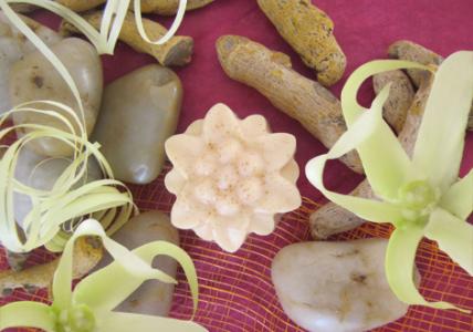 Moule En Silicone Blanc À 4 Cavités En Forme De Citron-Fleur De Prunier