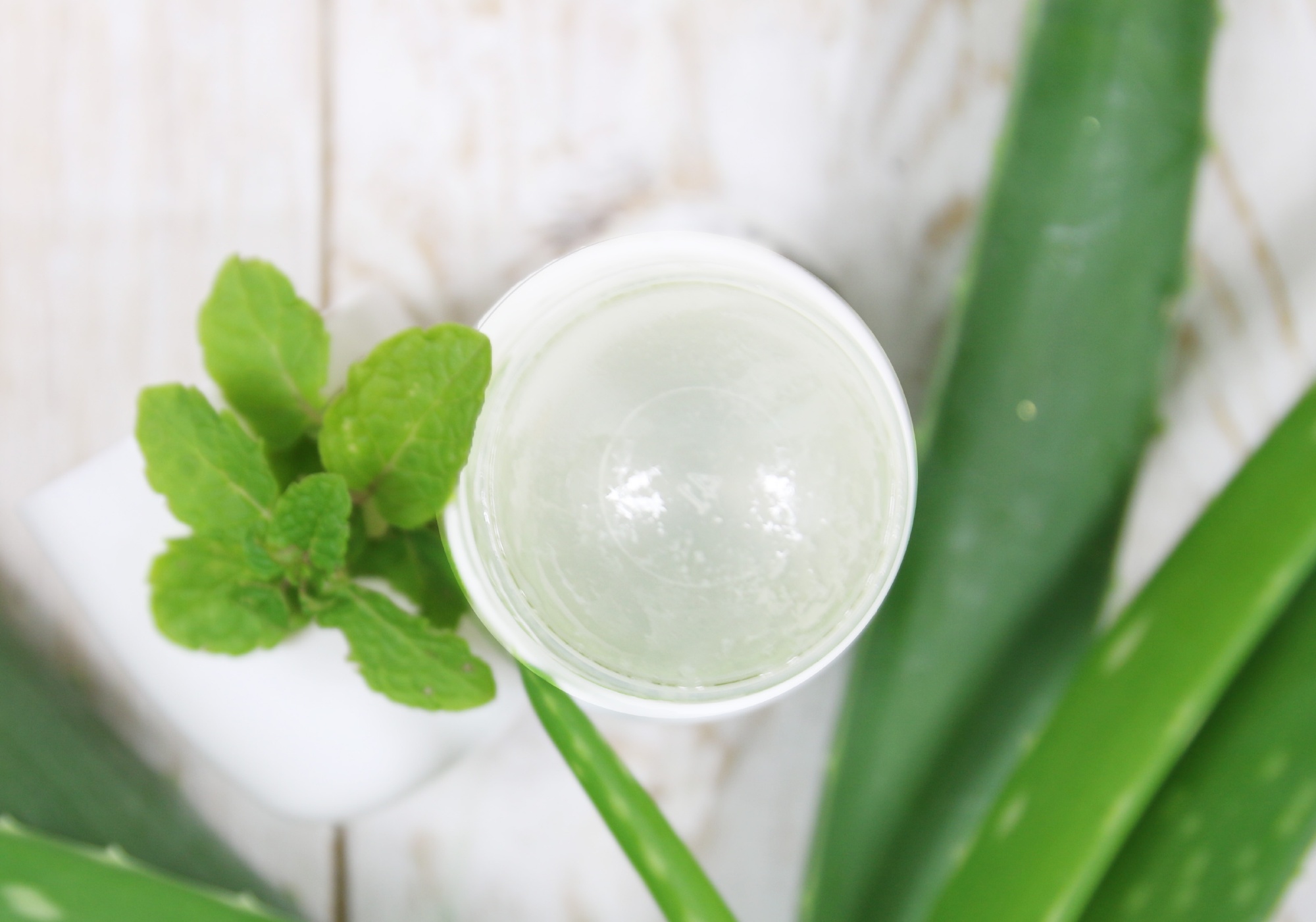Aloe Vera: benefici, uso, composizione - Aroma-Zone