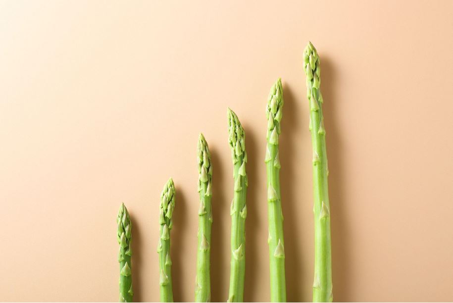 L'asperge - Aroma-Zone