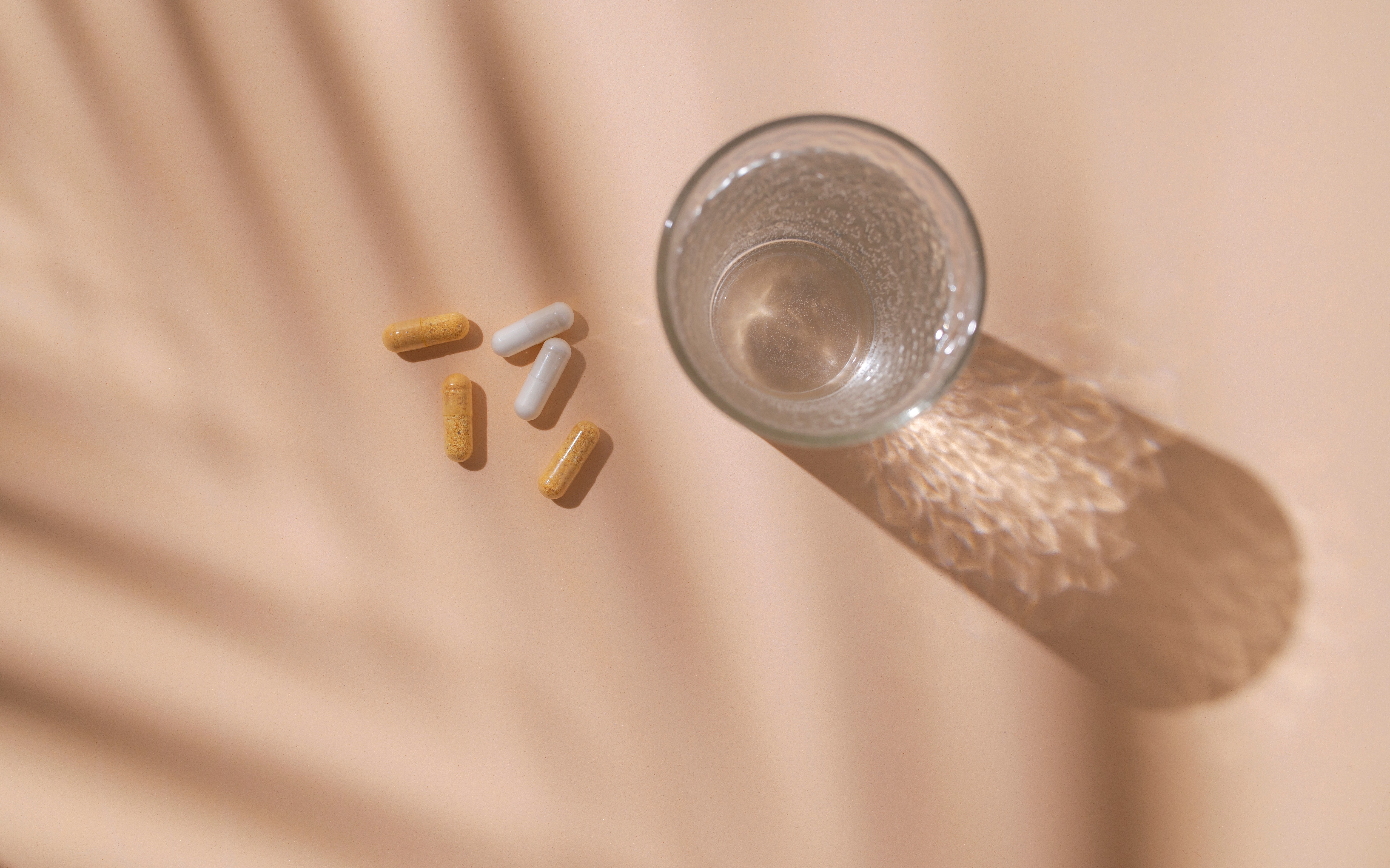 gat l carnitine 3000 Suppléments d'acétyl-L-carnitine : un aperçu