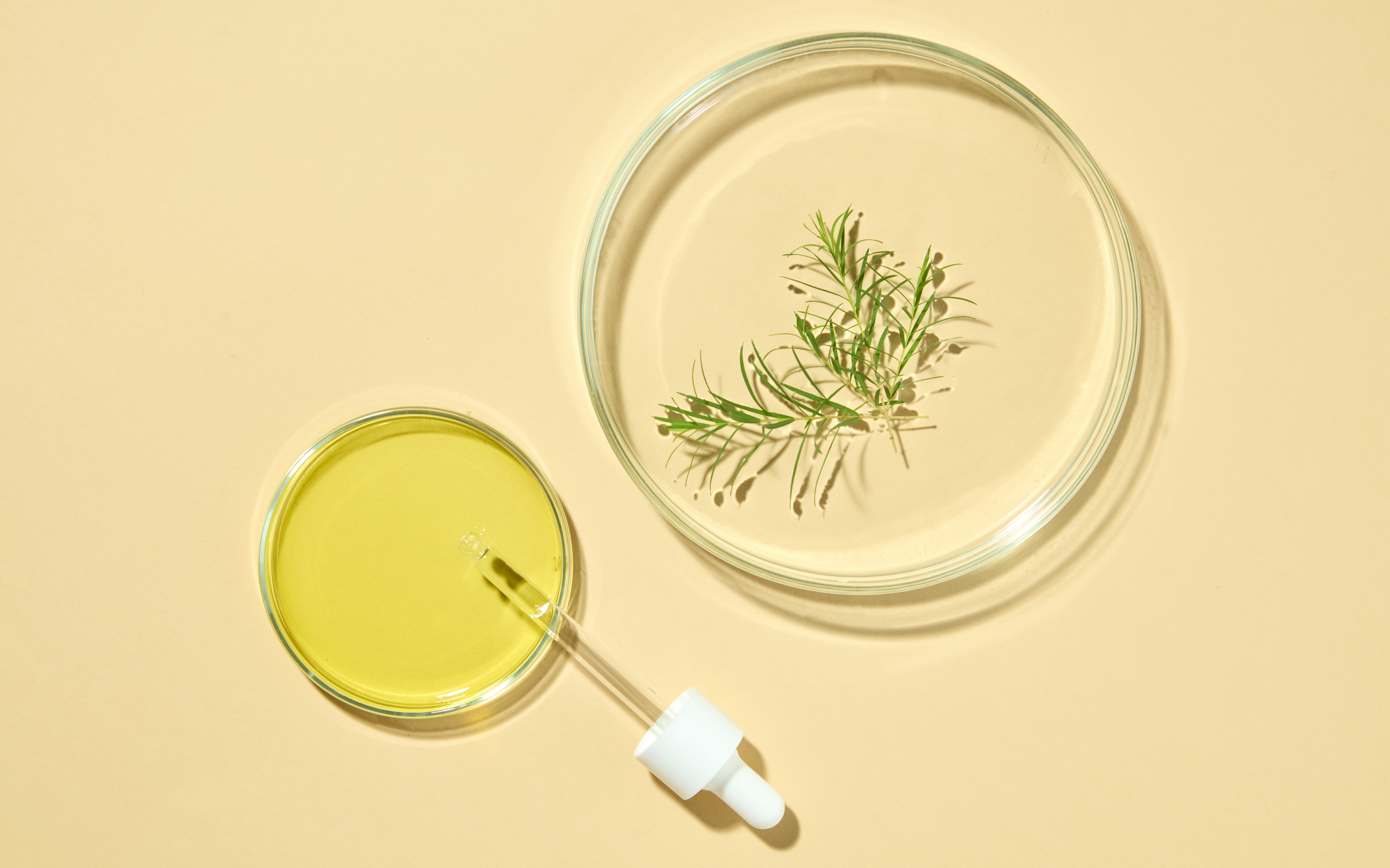 Herpès génital : faut-il renoncer à toute relation sexuelle ?, image size:8454x5280