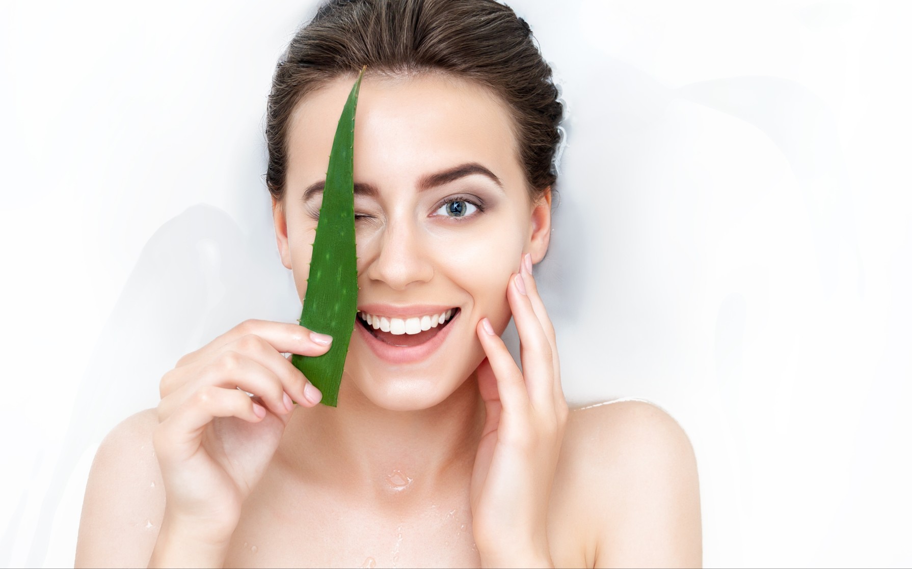 Aloe Vera sul viso: benefici e consigli - Aroma-Zone