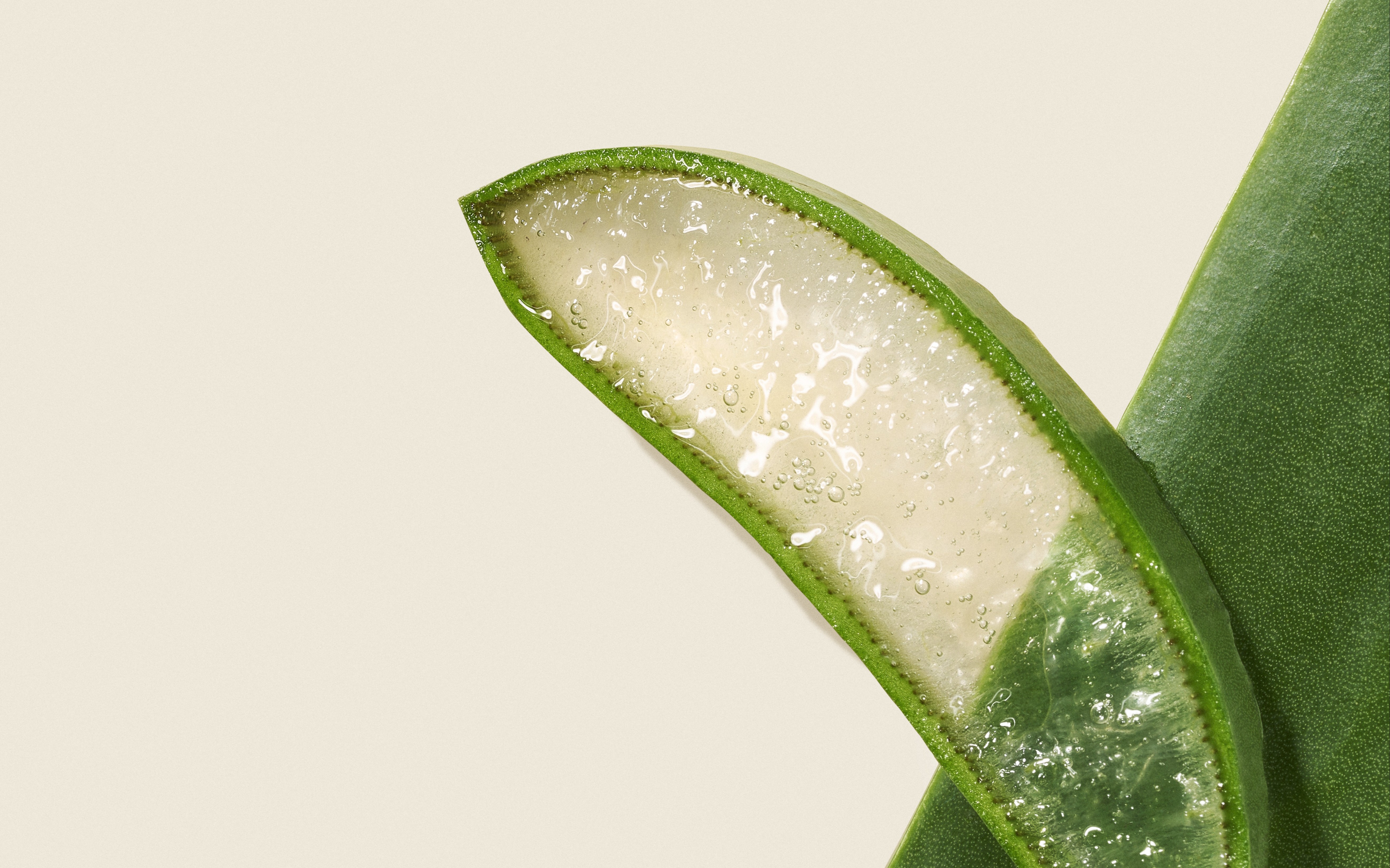 Aloe Vera Gel - Aroma-Zone