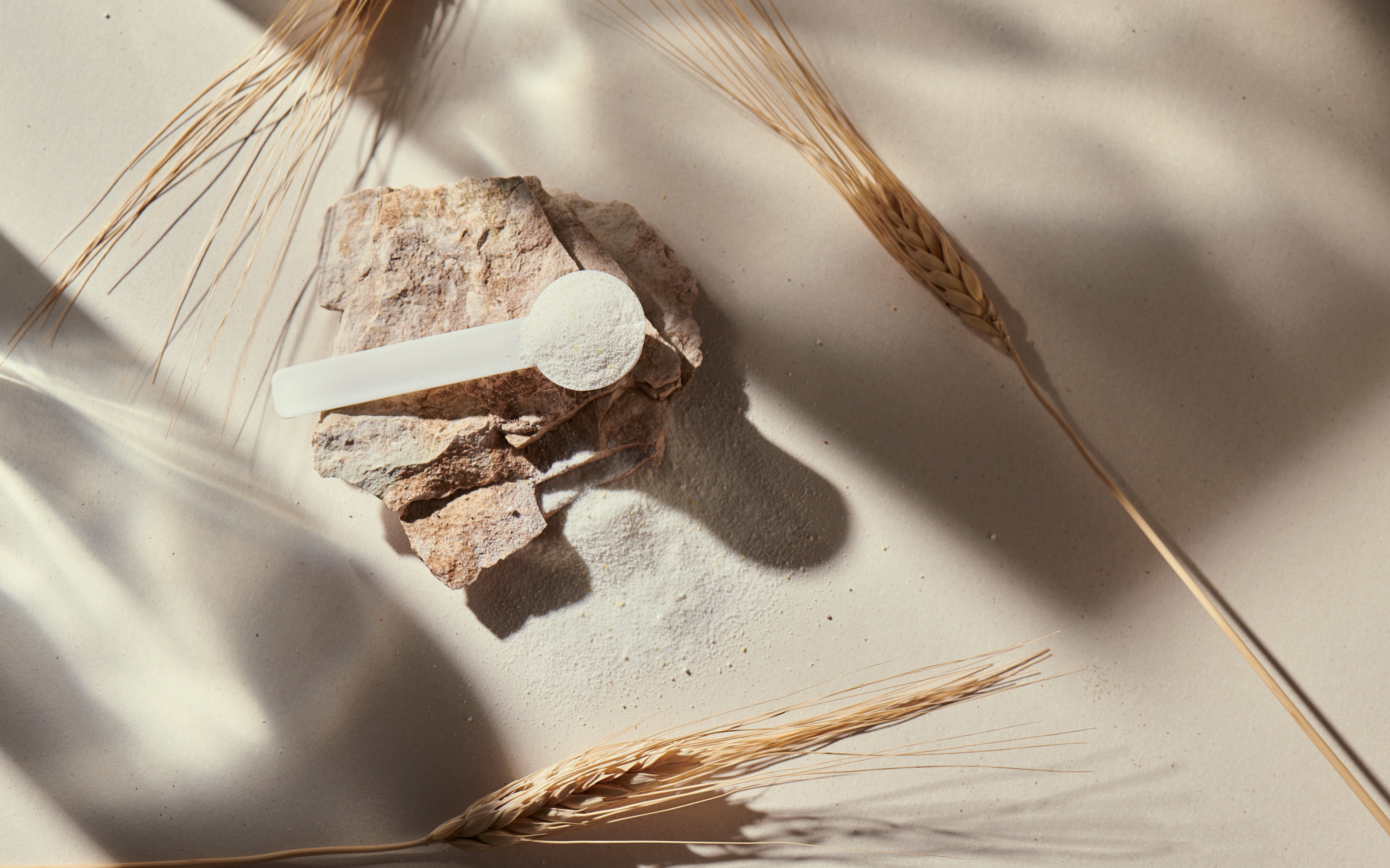 l carnitina prowinner para que sirve Pre-entreno L-Carnitina 60 Cpsulas 60 porciones  ProWinner