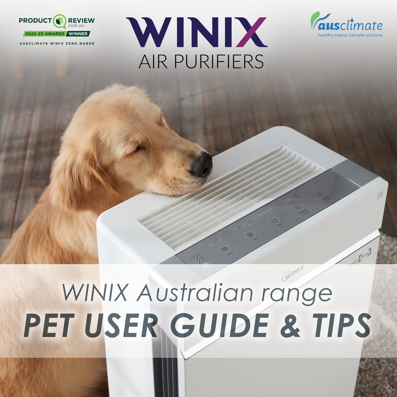 do air purifiers help dog allergies