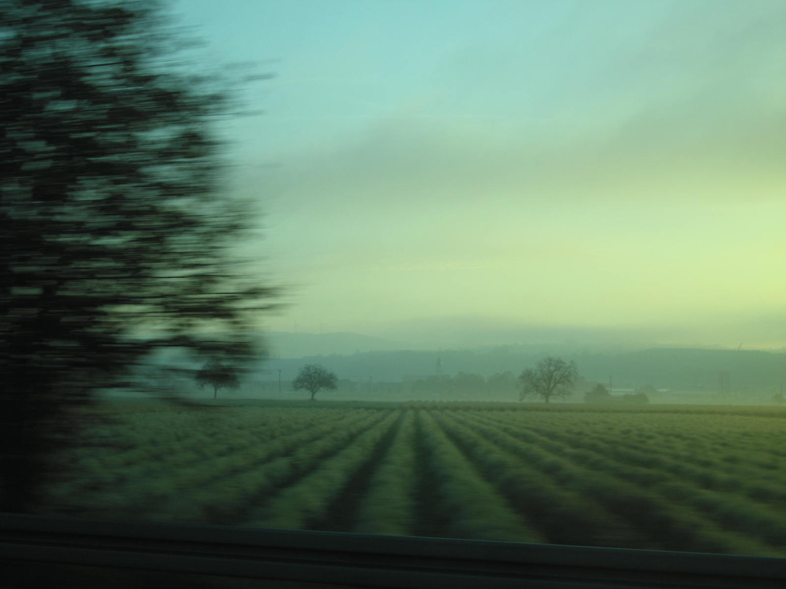 Review: Now Is The Time To Say Nothing