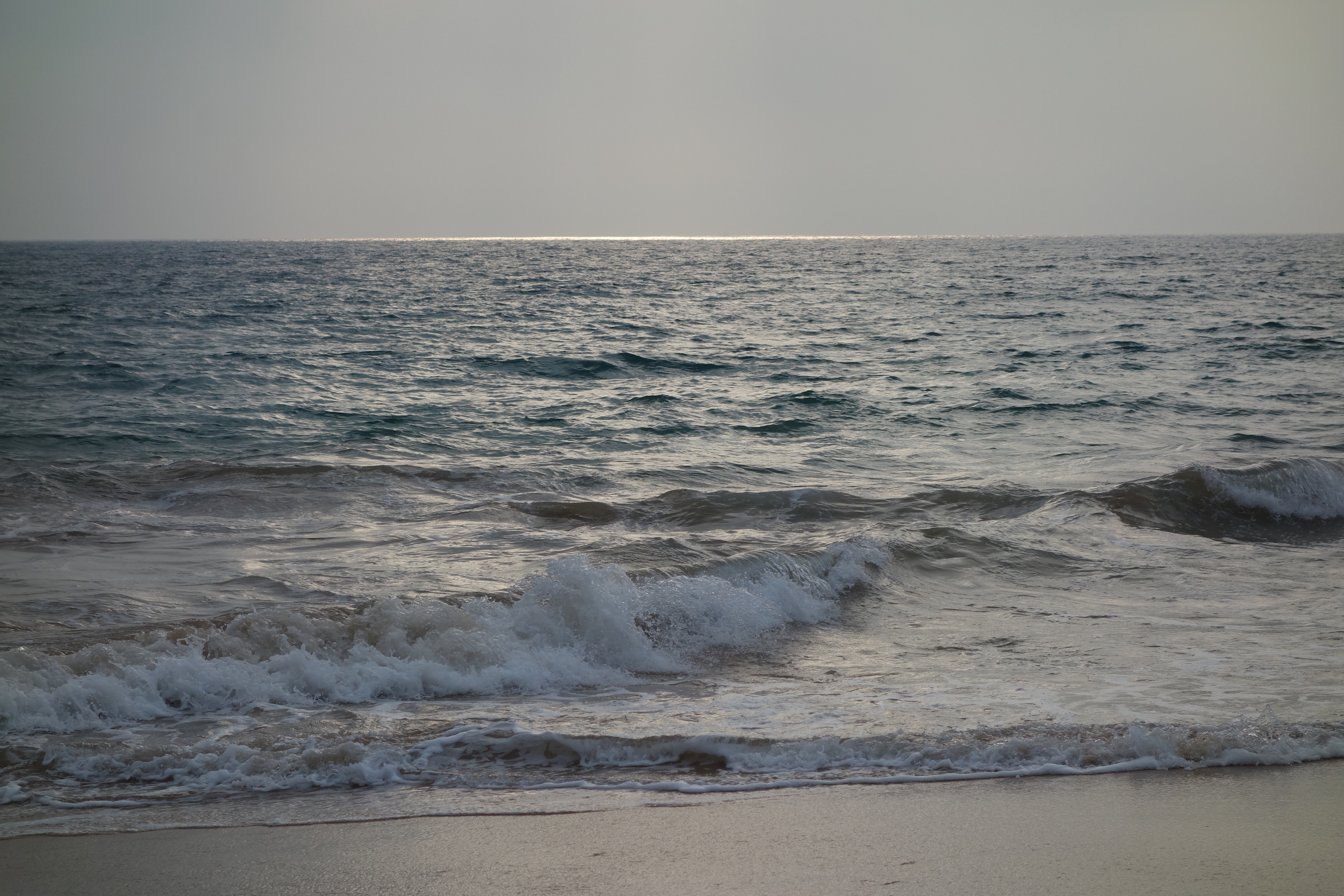 Ask me if I'm Sri Lankan