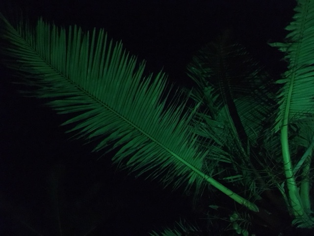 Practice Makes Practice