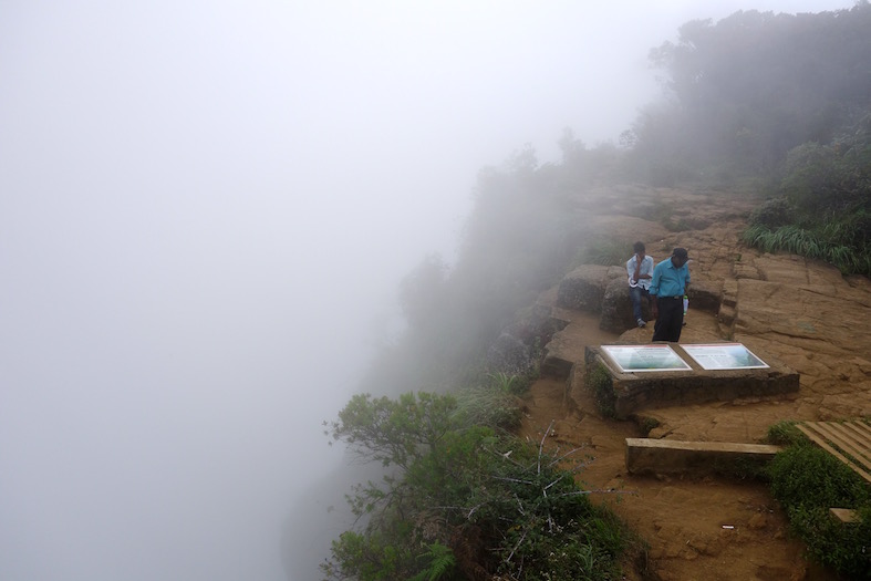 People Take Pictures Of People