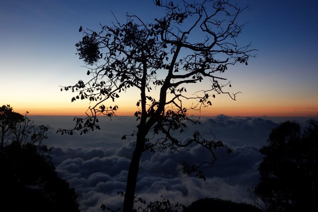 Thought Residency #2: Awesome Thought