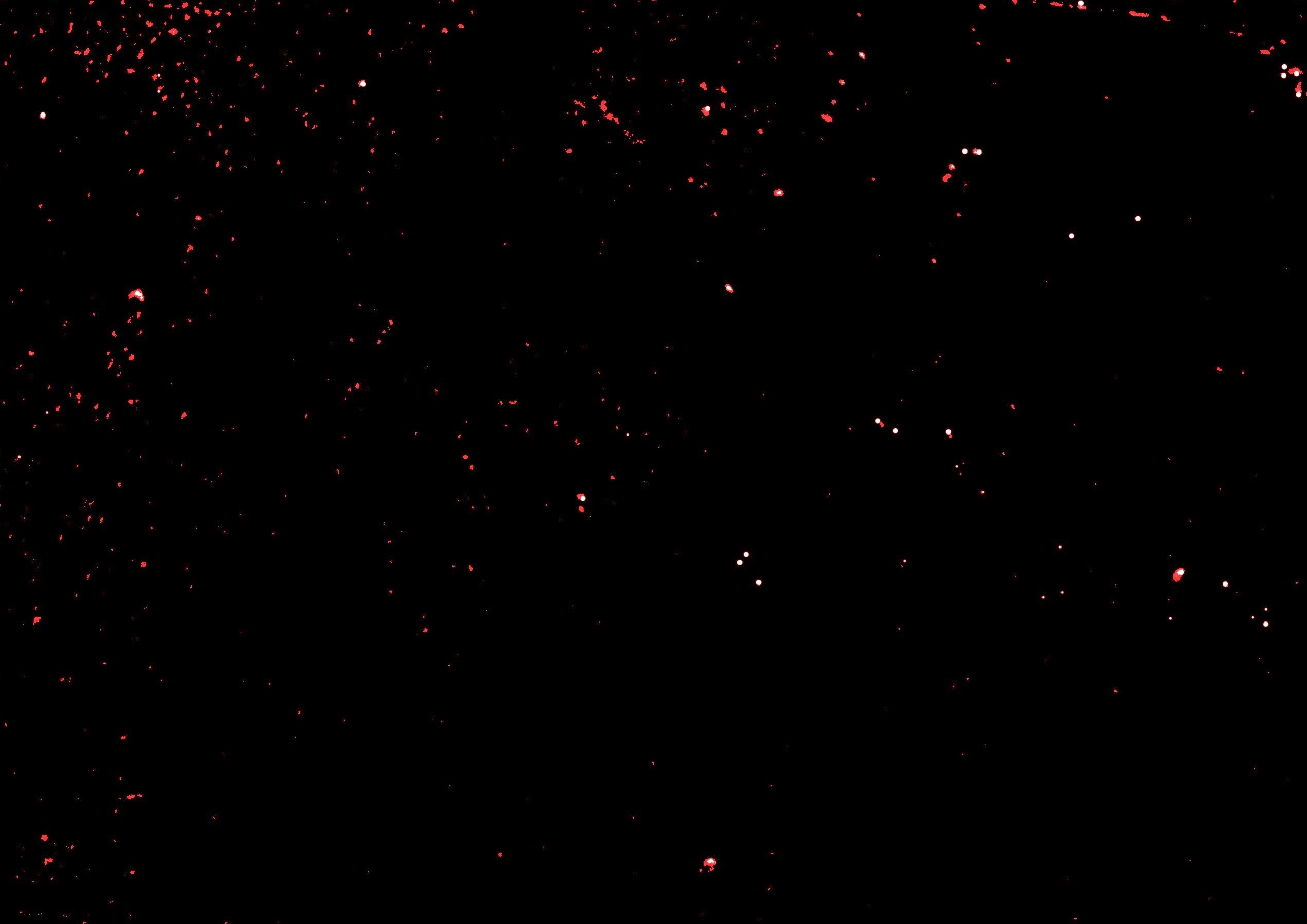 WHY IS YOUR PLAY BORING?