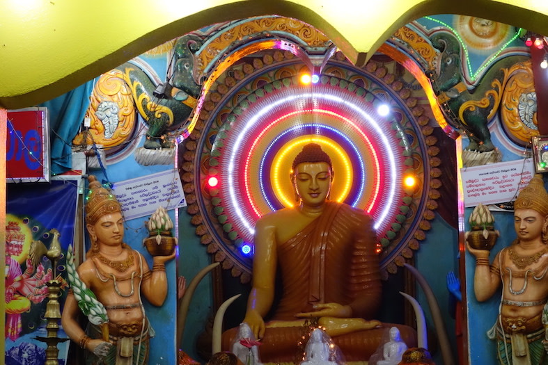 Proper Lanka - DSC00714.jpg