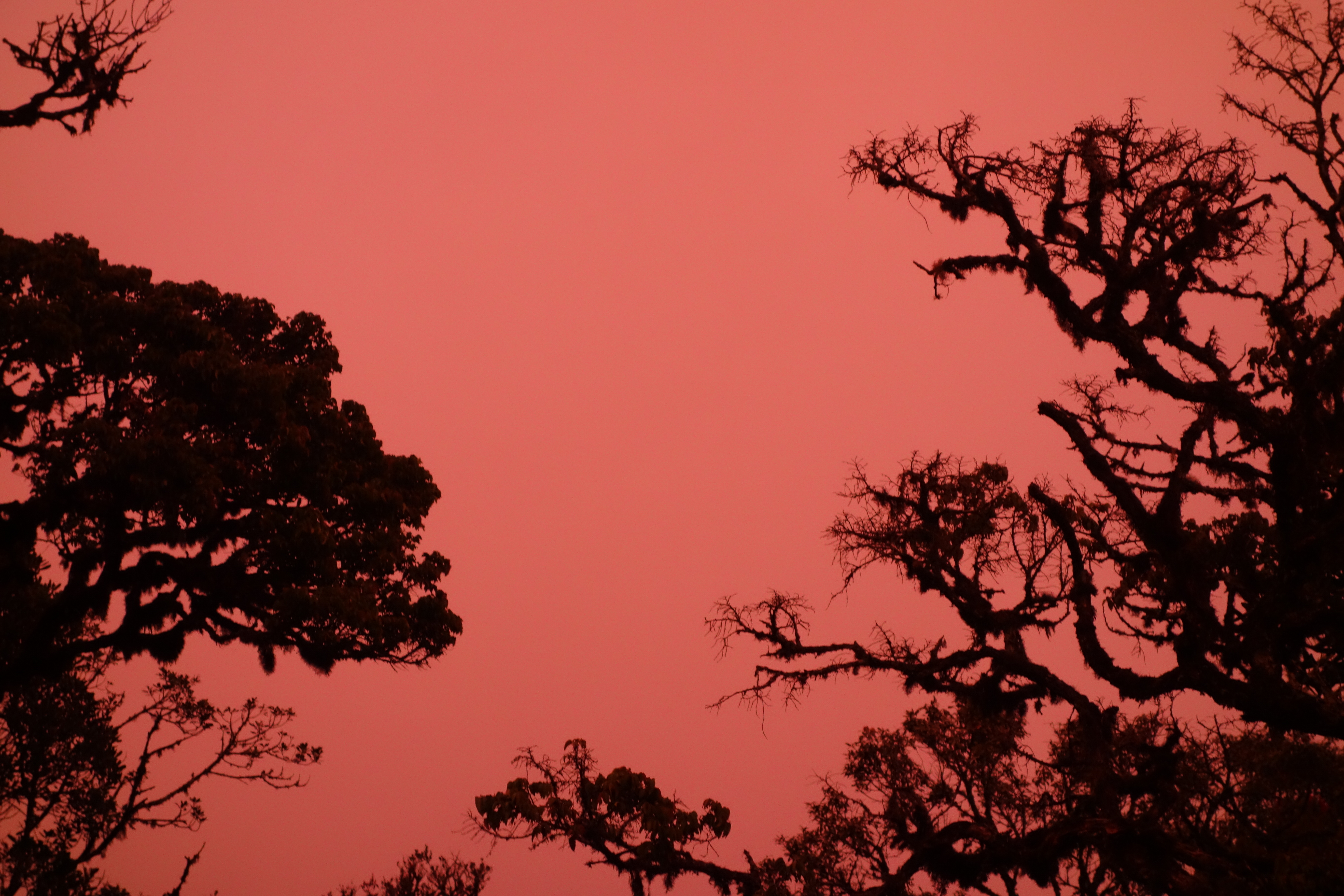 Chipping at the hard stuff: honesty / (in)visibility / community / career