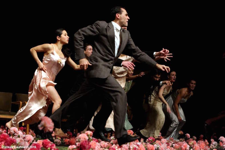 Drama: problems - Nelken.jpg