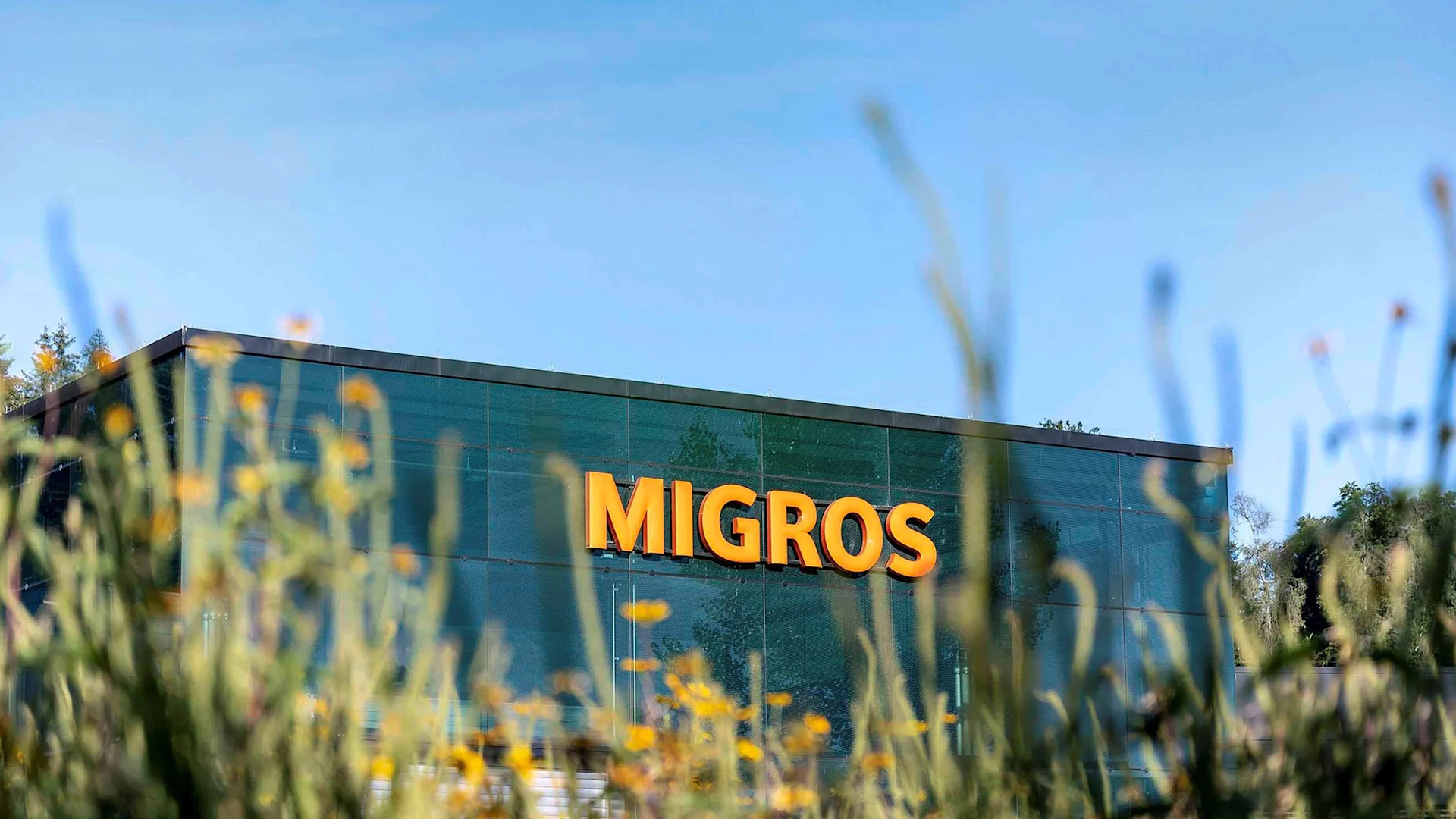 Gras im Vordergrund und ein Migros-Gebäude im Hintergrund.