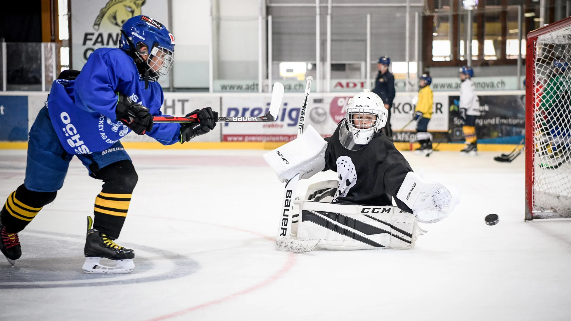 support-your-sport-header