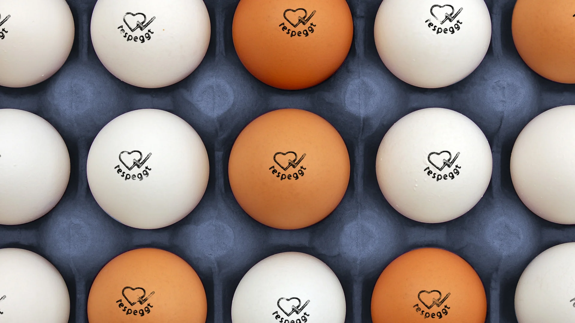 respeggt-header