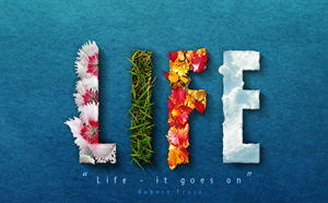 Life из цветов