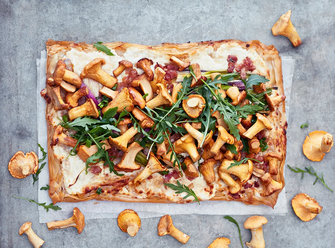 Kantarellipiiras filotaikinasta