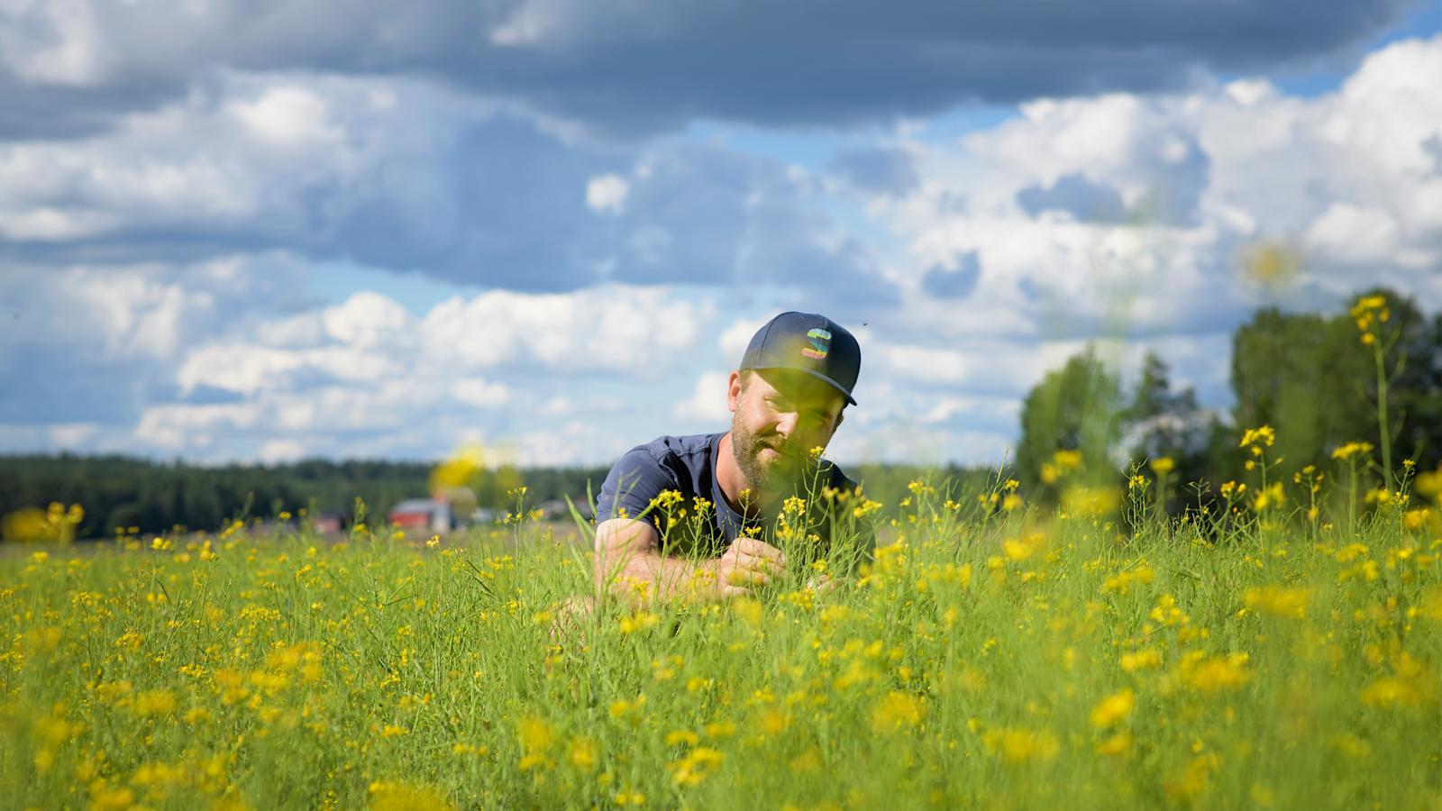 Henrik Bardy viljelee rypsiä Siuntiossa.