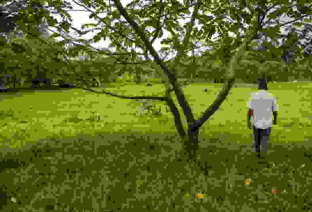 Banaaniviljelmät Costa Ricassa ja maanomistaj