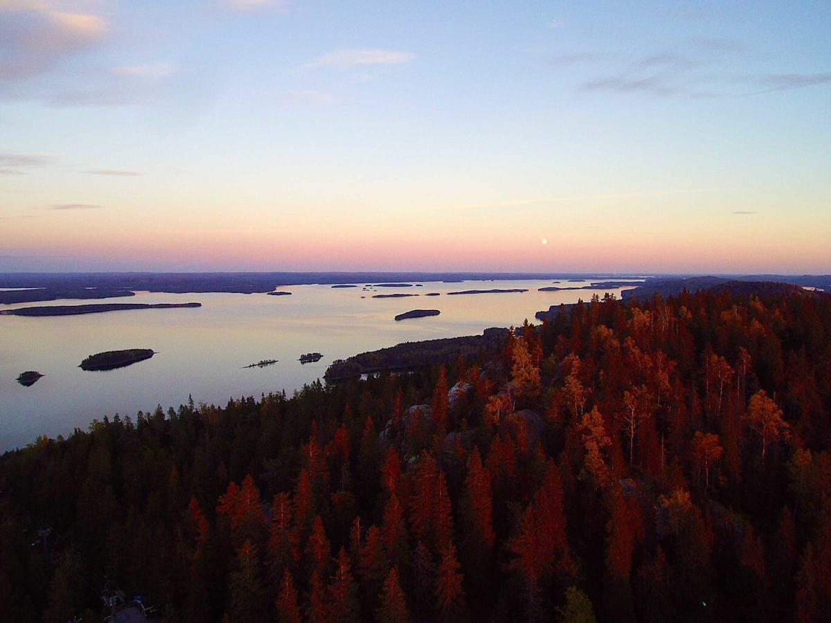 Koli kaikilla aisteilla