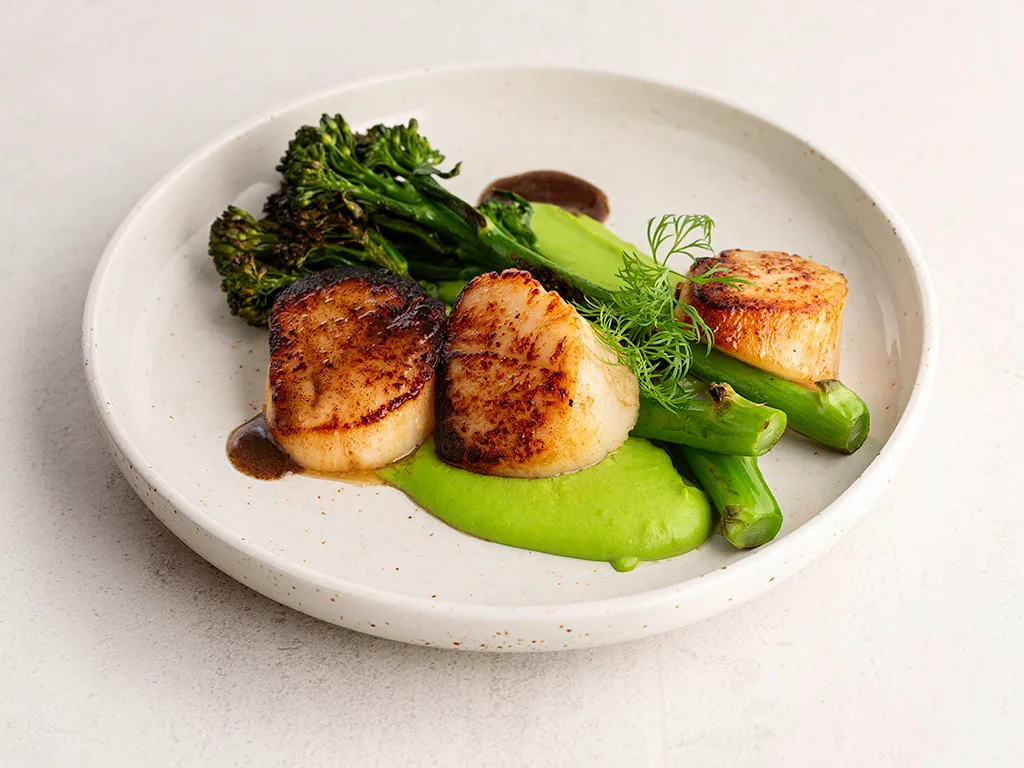 Paistetut kampasimpukat, hernevoi ja broccoliini