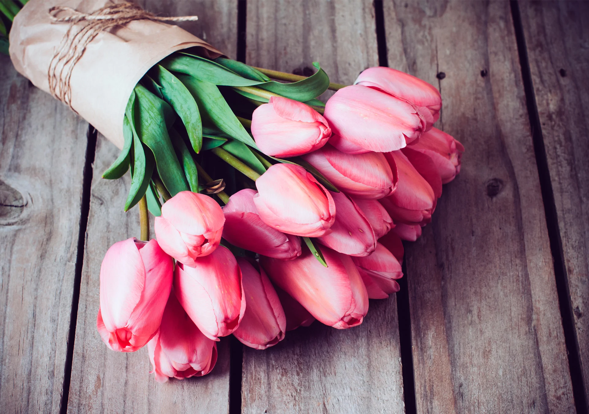 Kimppu vaaleanpunaisia tulppaaneja