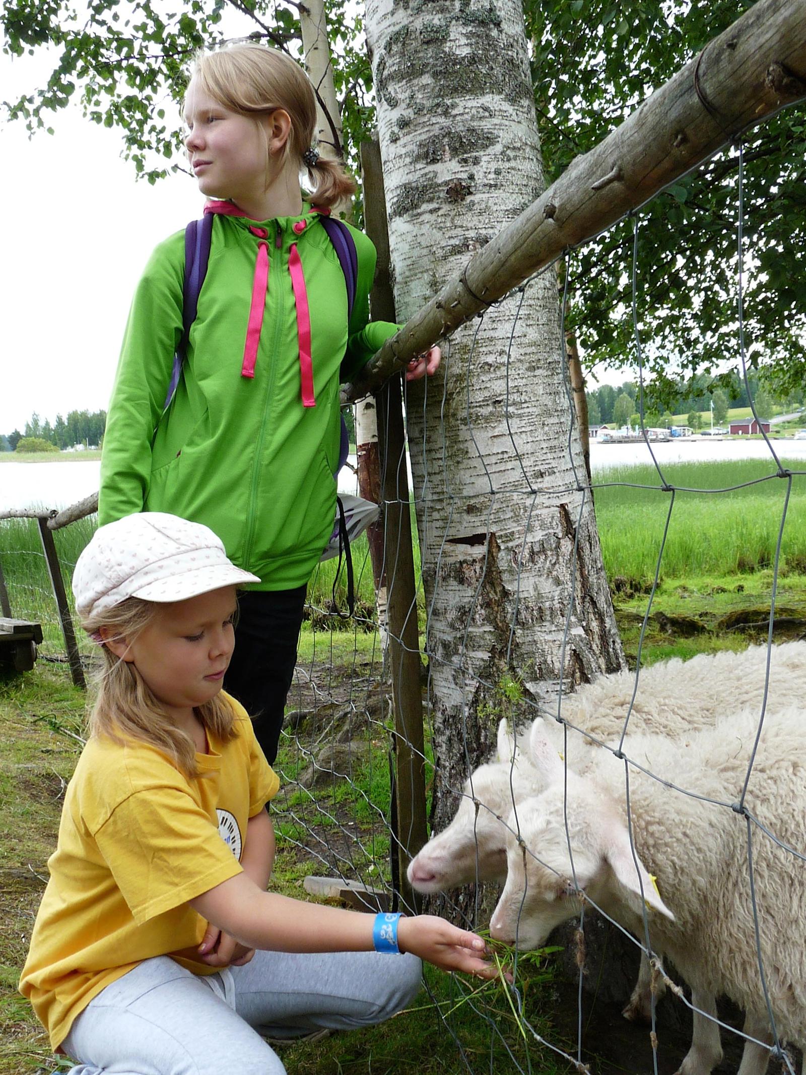 Kotieläinpihassa.
