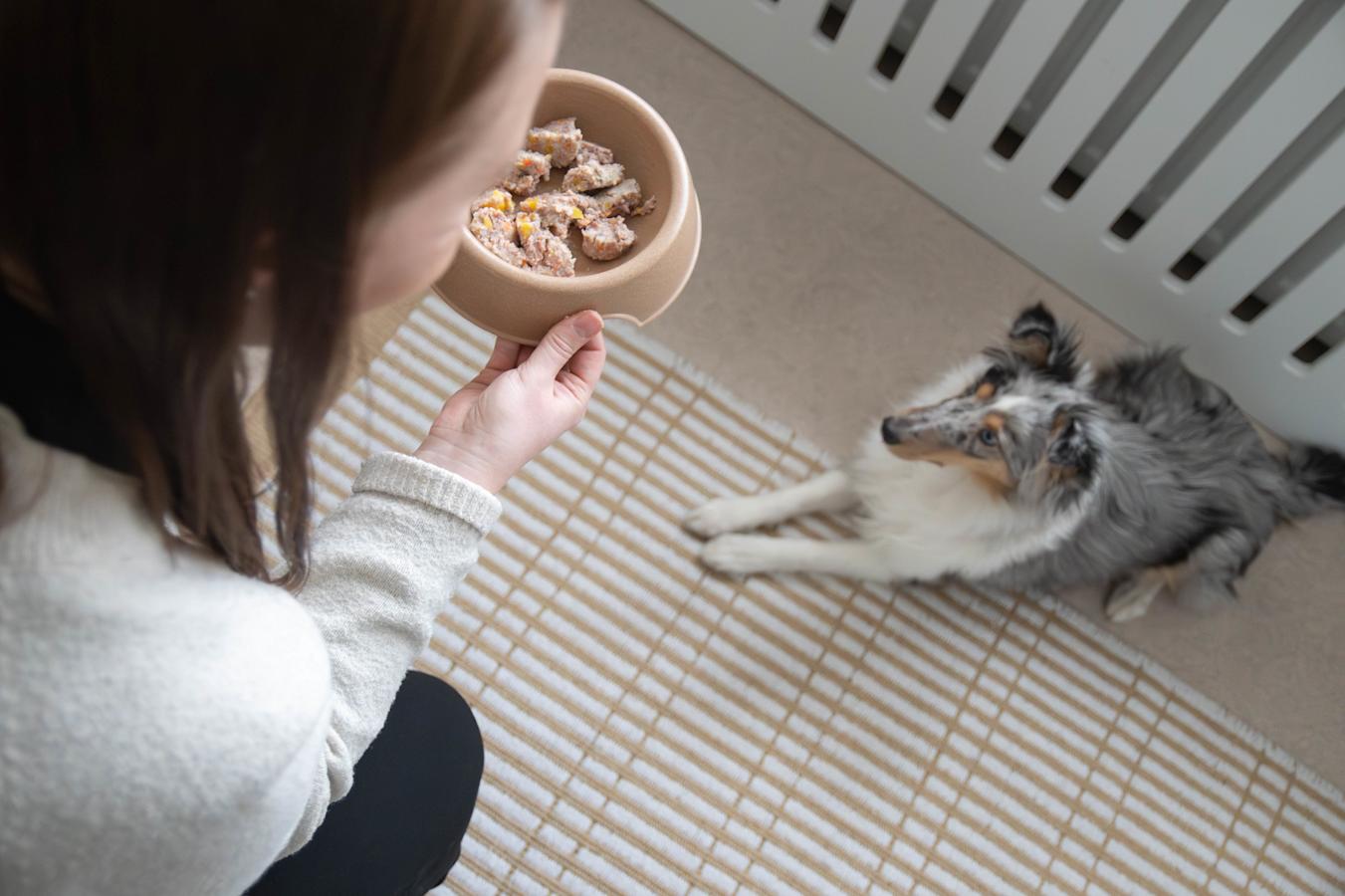 Minkälaisille koirille tuoreruoka sopii?