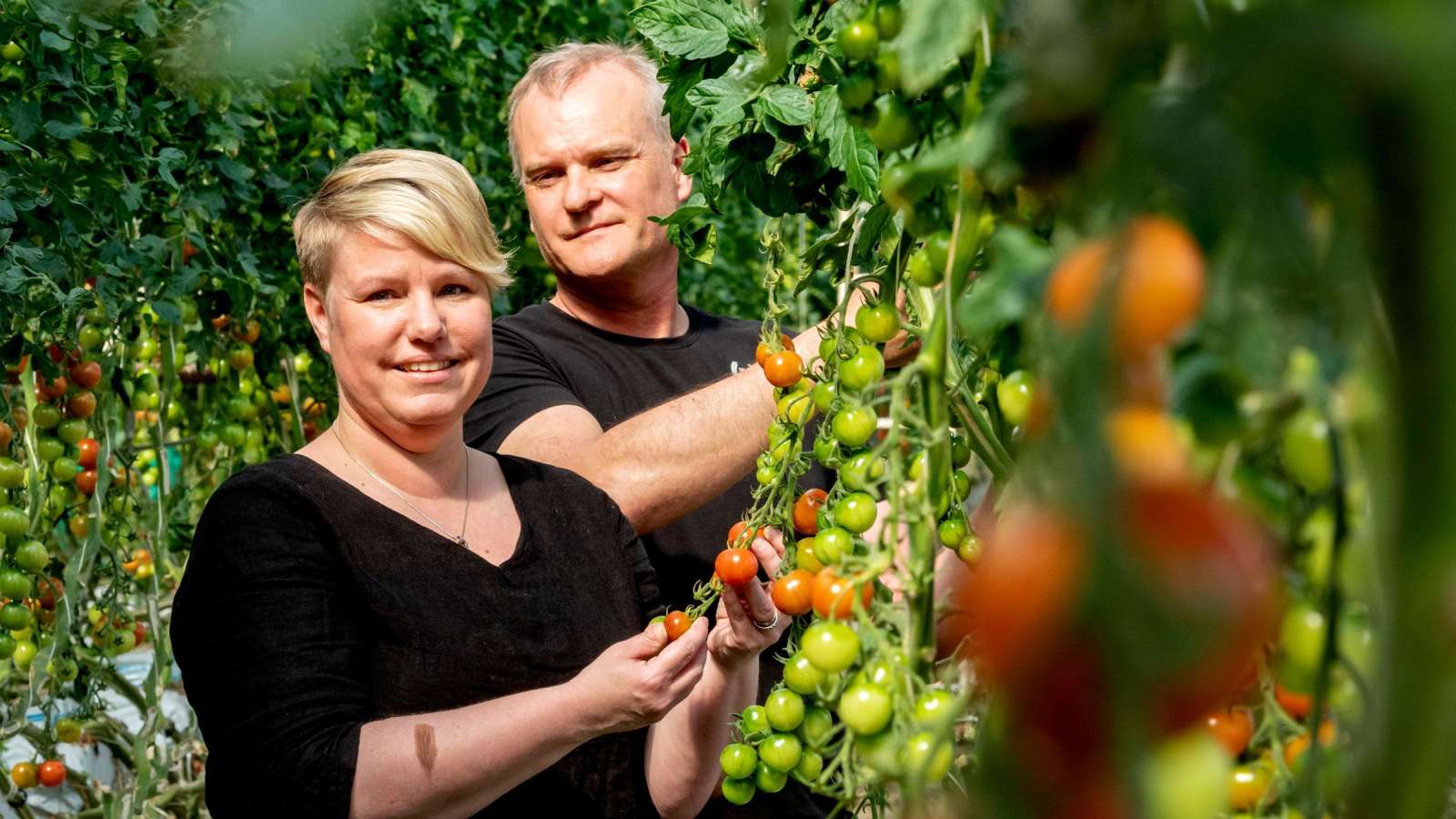 Kajsa ja Johan Lassander kertovat, että tomaattitarhureilla työtä on paljon, mutta se on itsenäistä ja palkitsevaa.
