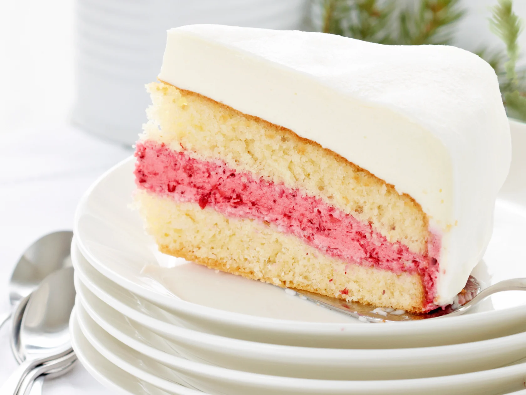 Kookos-puolukkamoussekakku