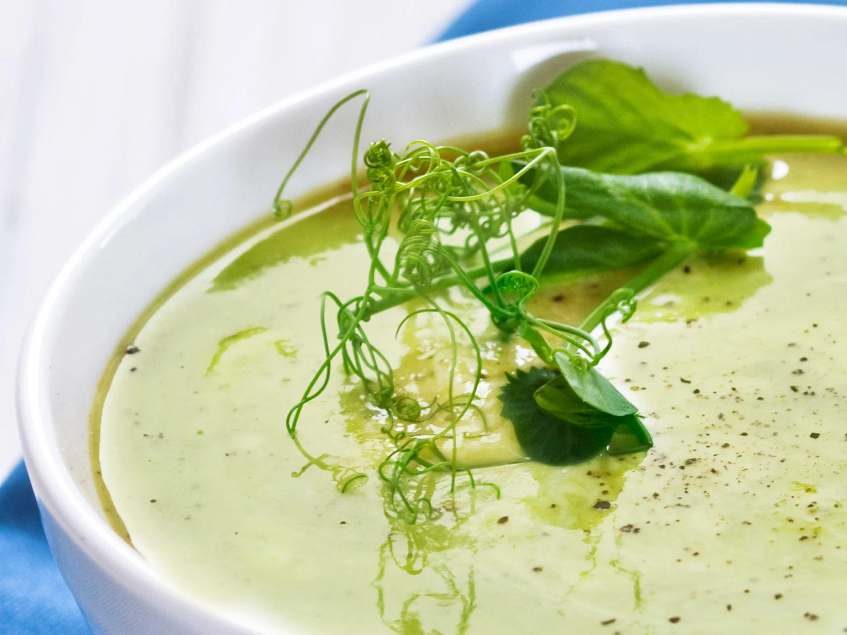 Herne-kesäkurpitsakeitto ja piparjuurikerma